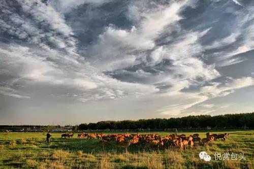 包头草原看星空,草原之上视频