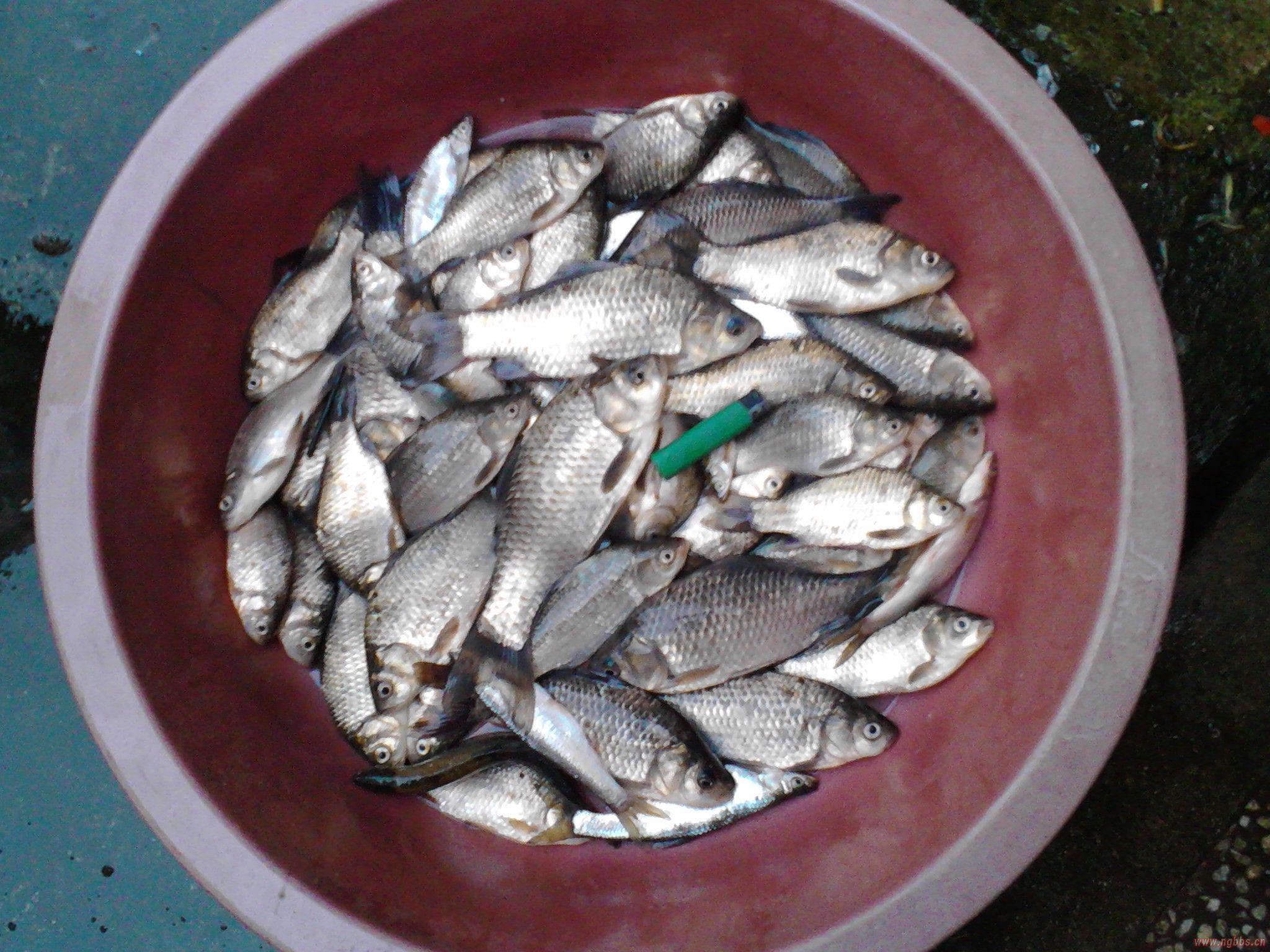 奶爸的幸福生活后续小说,奶爸的幸福电视剧全集在线观看