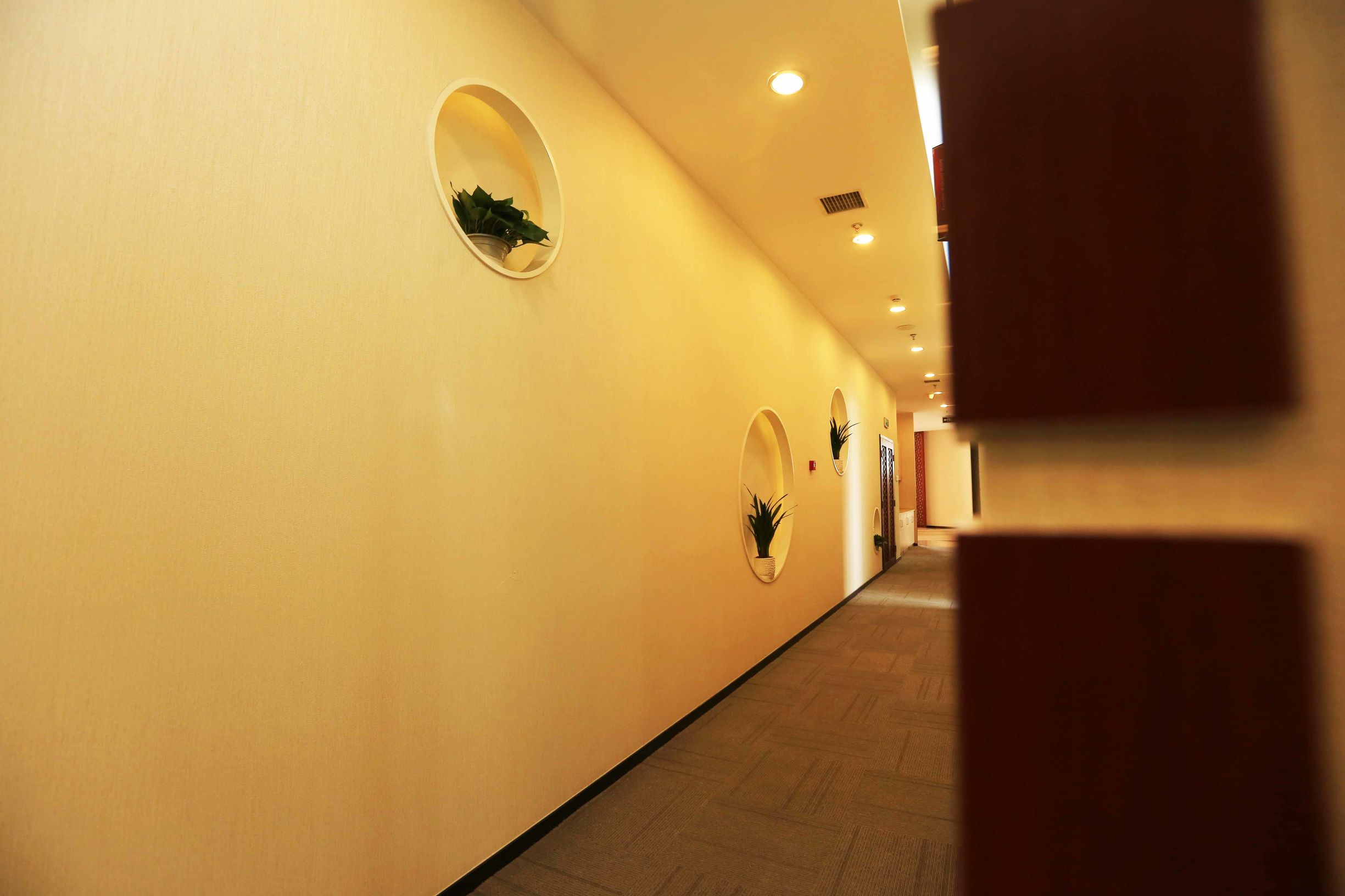 306医院健康查体怎么预约,306医院官方网站