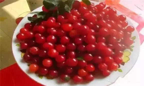 牡丹江人有福吗,牡丹江人生活好吗