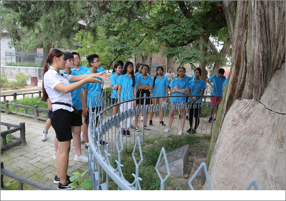 亲情中华网上夏令营,亲情中华夏令营寄语