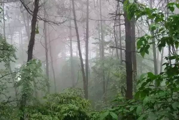 分享四川最值得去的9个地方景点,福利市景点