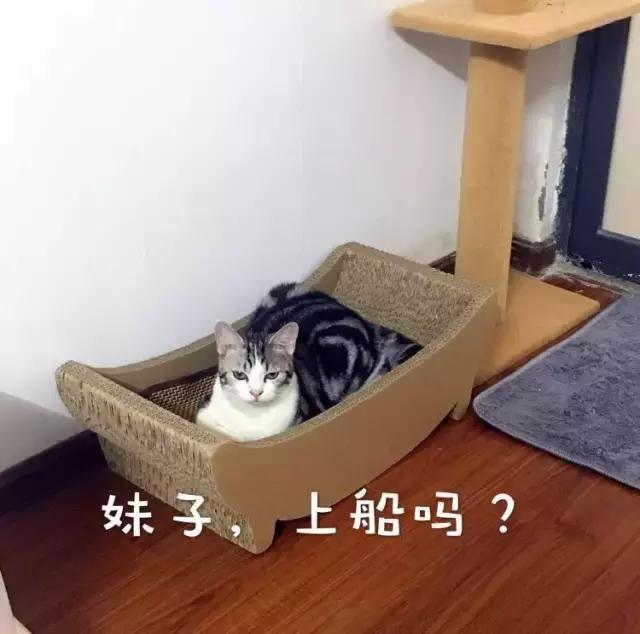 不想要爱情只想发财,越来越多人只想发财不想爱情