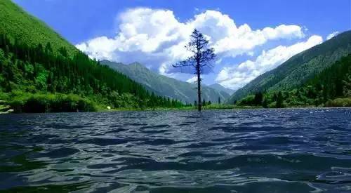 分享四川最值得去的9个地方景点,福利市景点