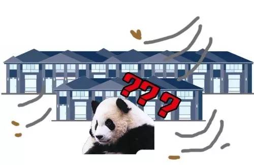 本届巴西奥组委：谁能帮我海淘只熊猫？