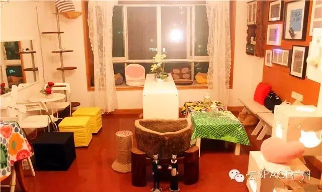 喵星人咖啡厅，治愈你疲惫的心！