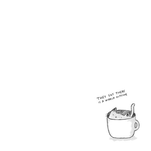 喵星人咖啡厅，治愈你疲惫的心！