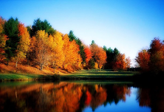 承德塞罕坝国家森林公园雾凇,承德塞罕坝公园