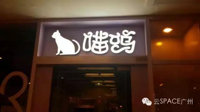 喵星人咖啡厅，治愈你疲惫的心！