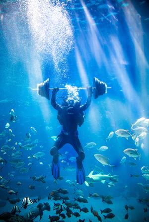 万达南昌海洋馆,南昌万达海洋馆