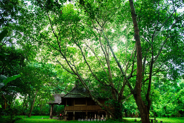 西双版纳住哪个傣族园舒服,西双版纳傣族园玩什么