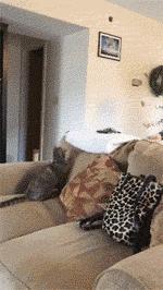 一个人在家睡觉别关灯,一个人在家关灯的时候