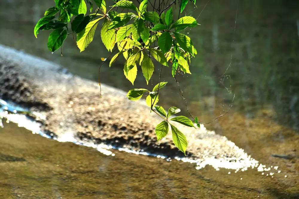 酷暑走徽州，查济二三事
