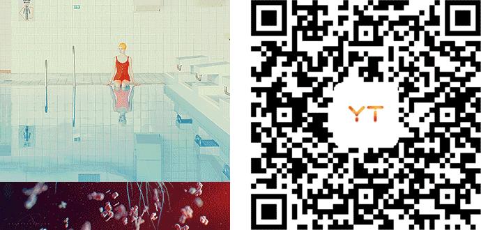 荷兰画家梵高珍珠少女,女画家梵高