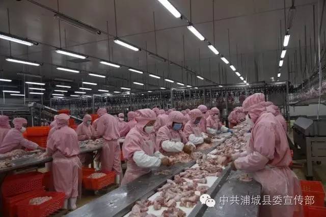 圣农发展龙头,圣农集团带动光泽经济