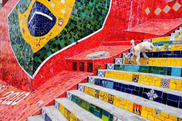 奥运感受视频,奥运精神的感触