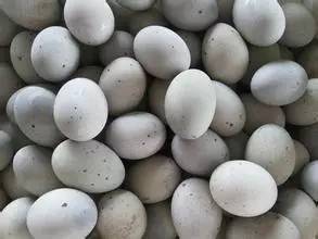 吓哭外国人的美食博主,盘点十种能吓哭小孩的美食