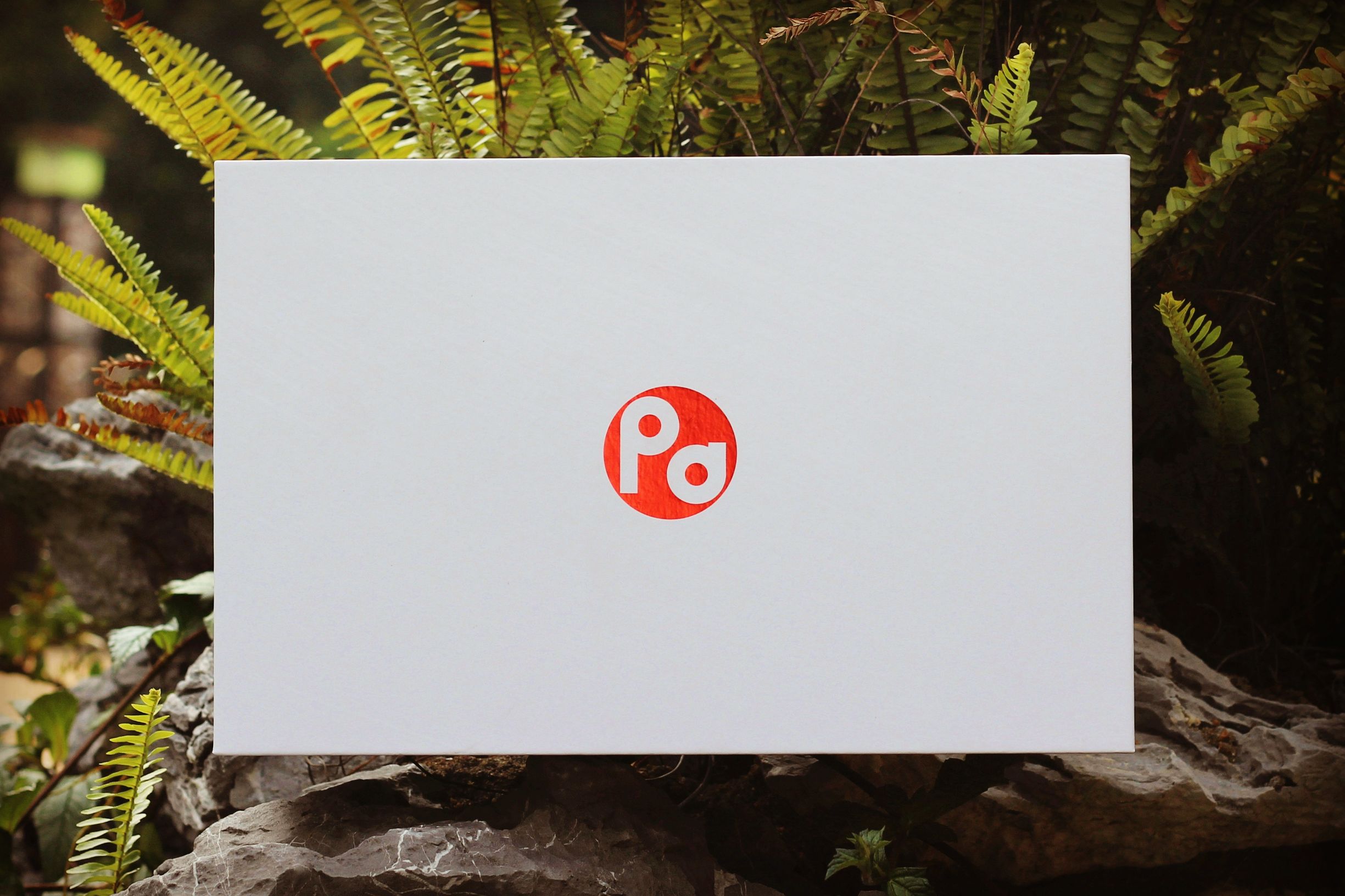 PaPa旅行影院一路随行,轻轻松松看“视界”