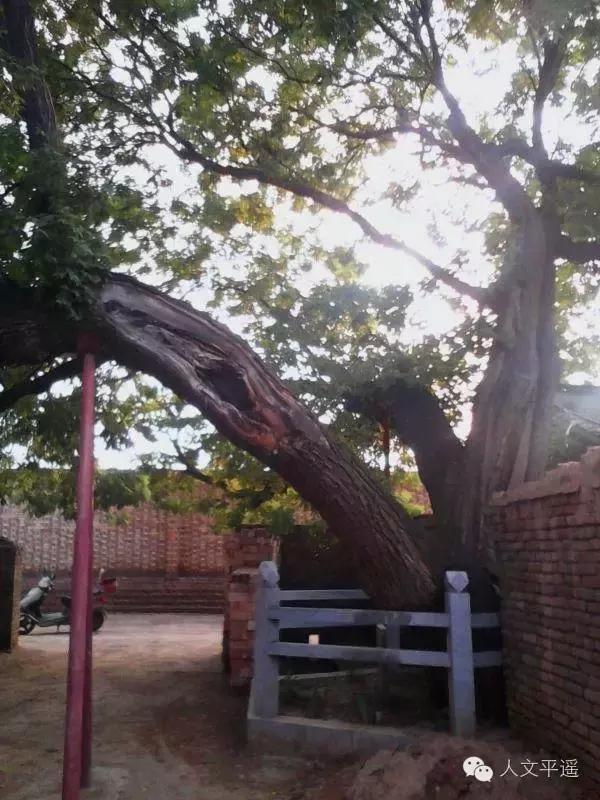 走在平遥古城的大街上,平遥的沿途风景