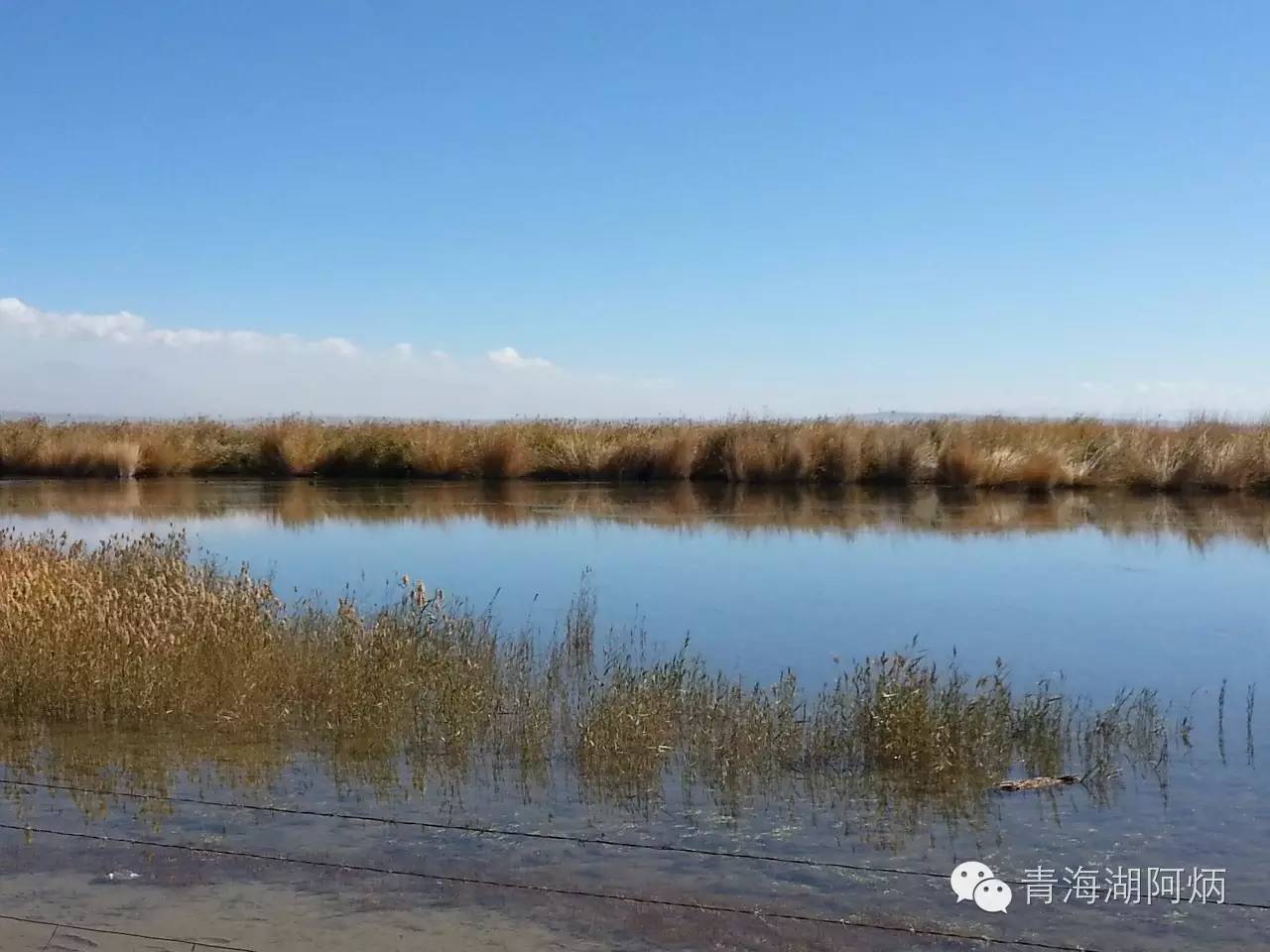 青海湖和沙坡头哪个更值得去,12月青海湖值得去吗