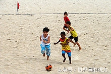 巴西国家队有几个是混血,巴西两个足球先生