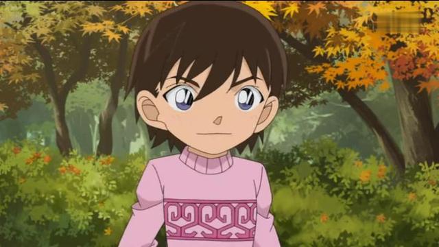 名侦探柯南小兰9个情敌,名侦探柯南里小兰的情敌是哪一集