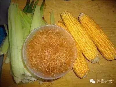 龙须存在吗,传说中的龙叫什么