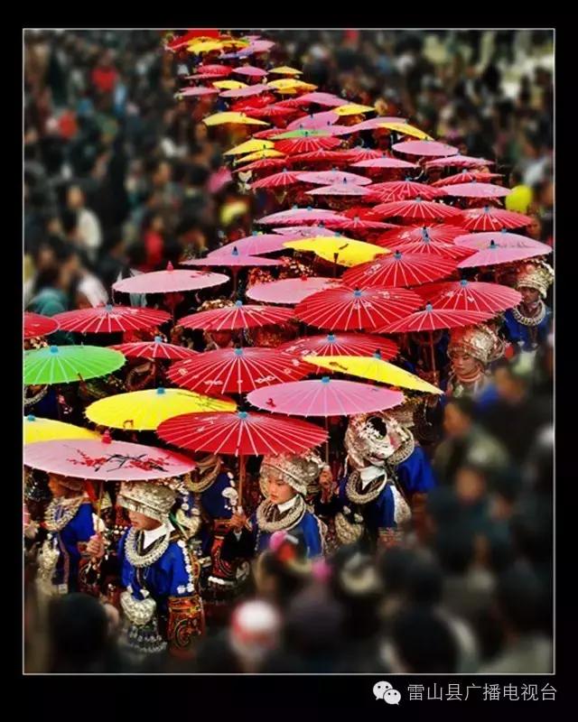 感受天然的氧吧气息和美景,感受大自然天然氧吧的气息和美景