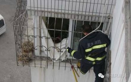 衡水小孩坠楼奇迹生还,衡水橄榄城小孩坠楼事件