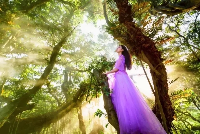 就算吃土也要投资自己,就算吃土也要买车