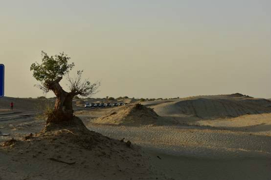 超多美图慎入！开神车，走丝路，这些不可思议的美景就在中国！