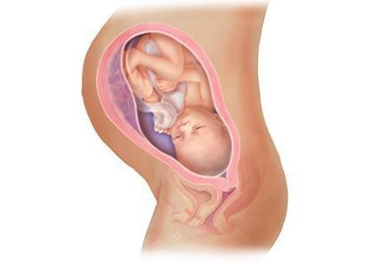 惊奇宝宝第一季,怀孕过程中的十大惊奇发现