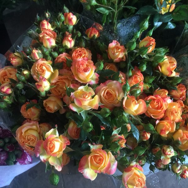 云南红河哈尼族彝族自治州美食,云南红河哈尼族彝族自治州小吃