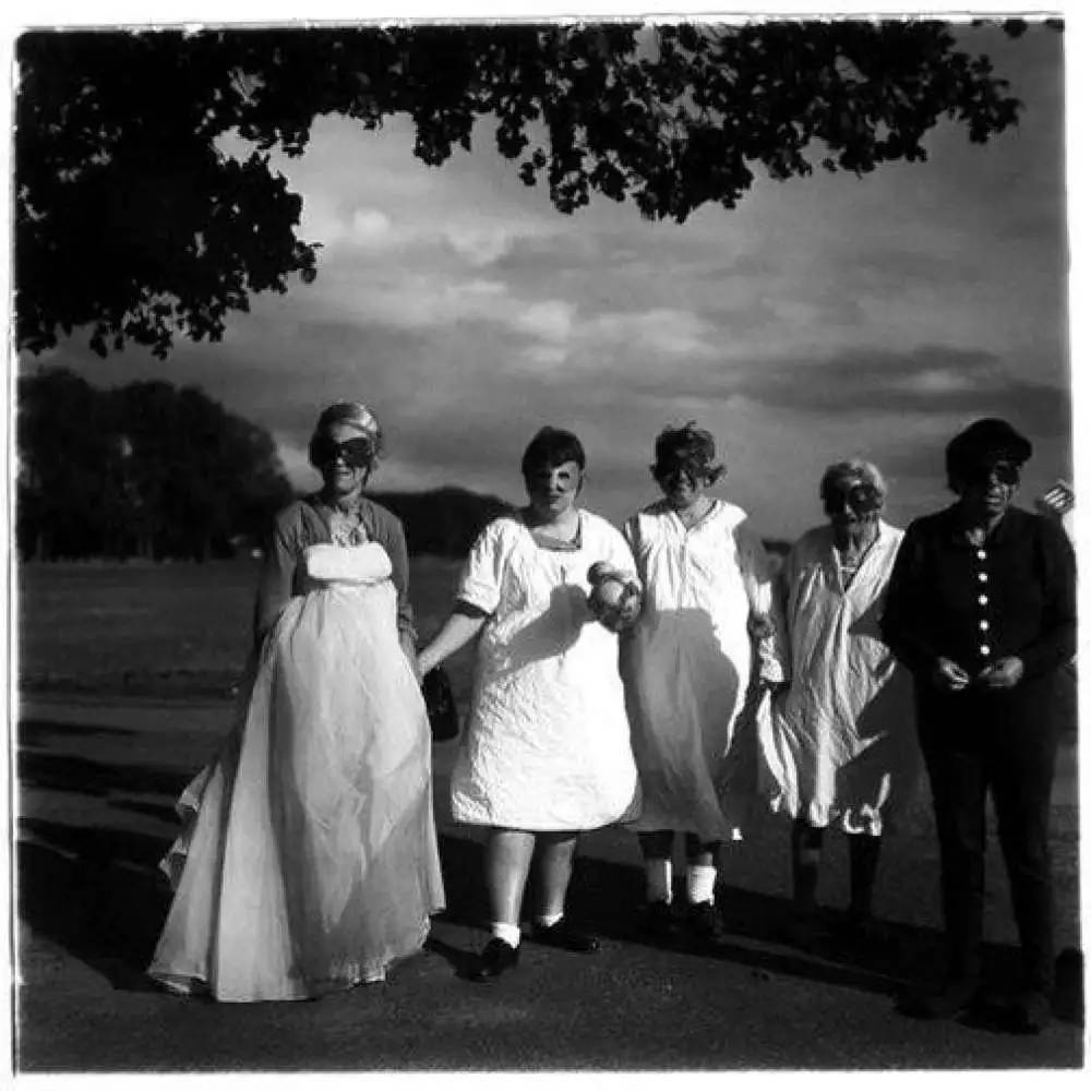 荷兰画家梵高珍珠少女,女画家梵高