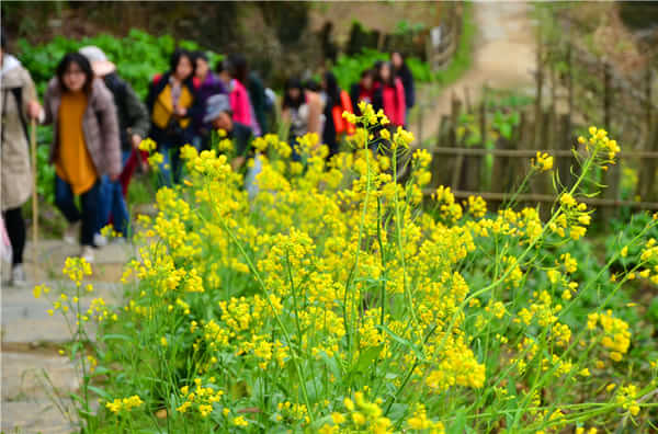 稻草人旅行有什么特色,稻草人旅行沙漠