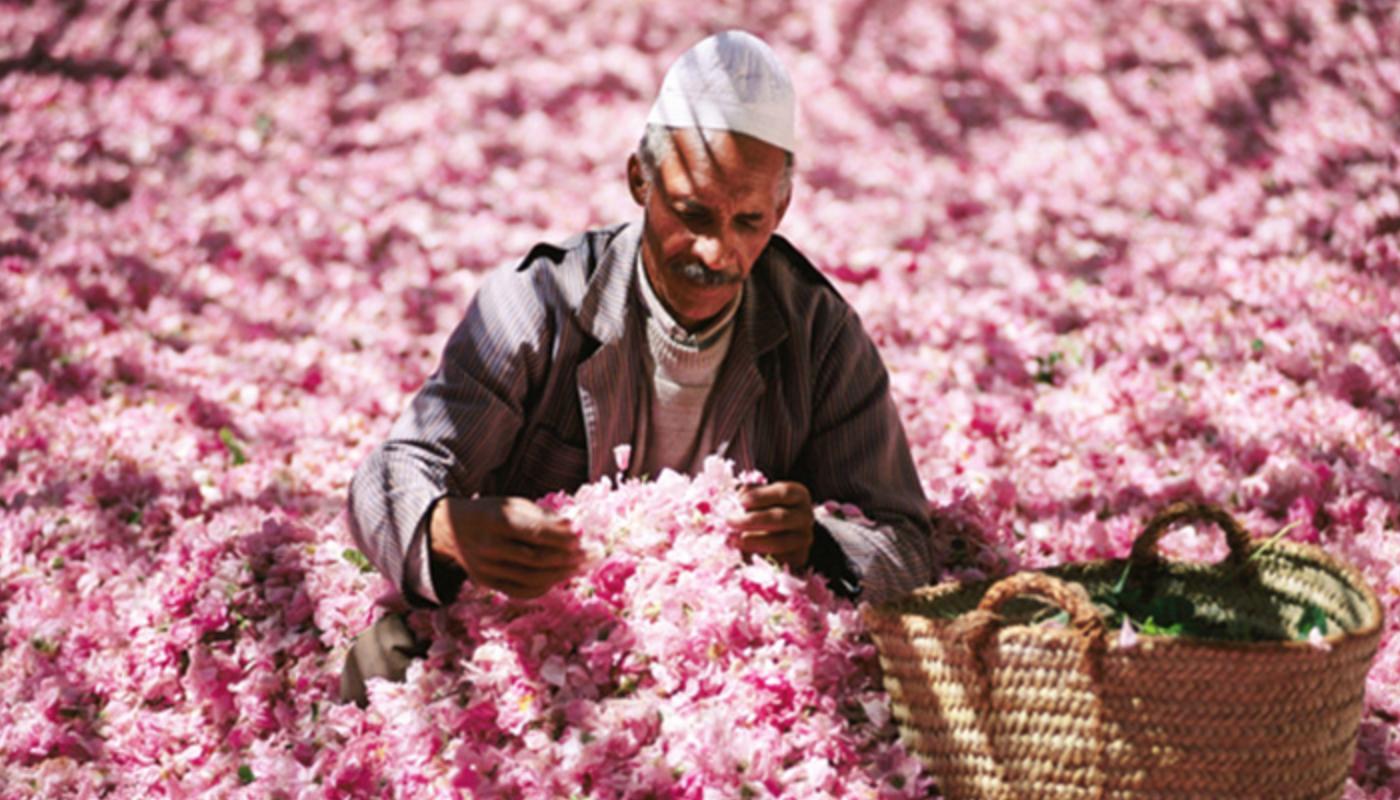 护肤推荐新升级,护肤最新规则