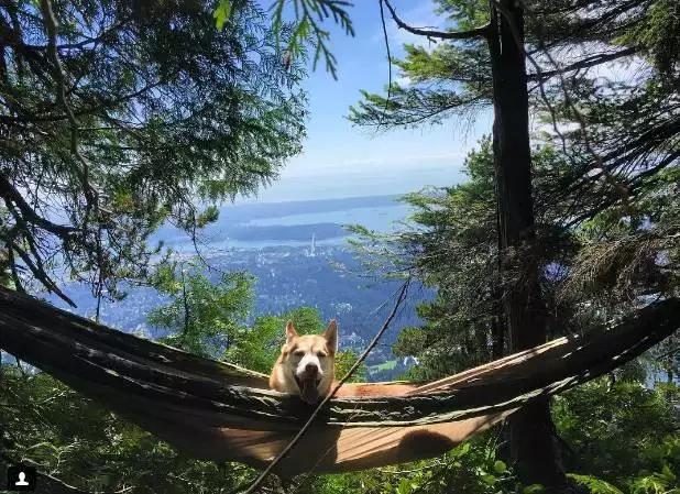 七分醉，九份迷！初秋的温哥华美的太任性，随手拍来皆美景