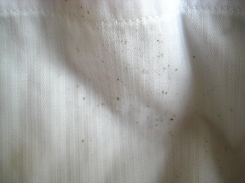 衣服起黄霉点霉斑要怎么洗掉,衣服上的汗渍变黄怎么洗掉