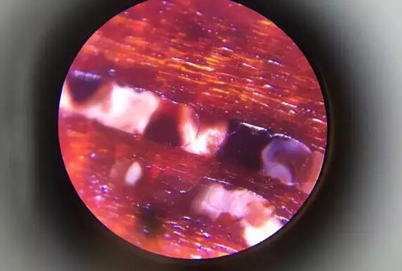 金星密度多少千克每米,金星核心的密度是多少