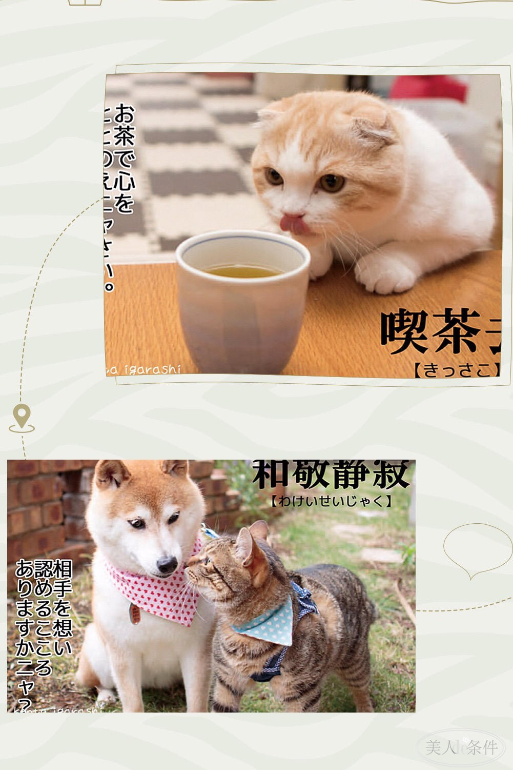 美酱参加东京奥运会了吗,美酱奥运