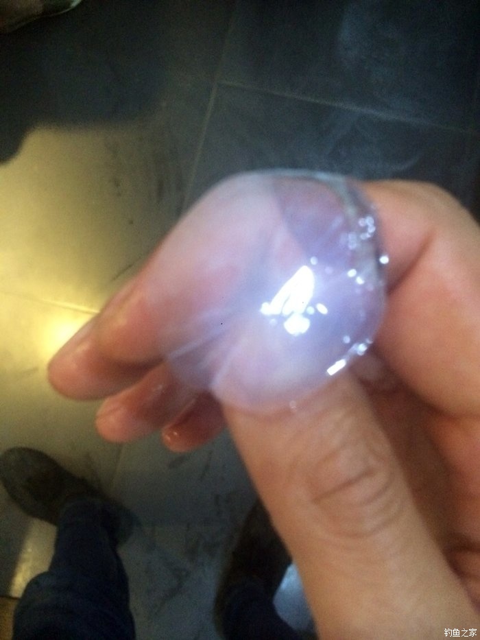 老鬼鳊鱼饵料配方,老鬼钓鳊鱼饵料