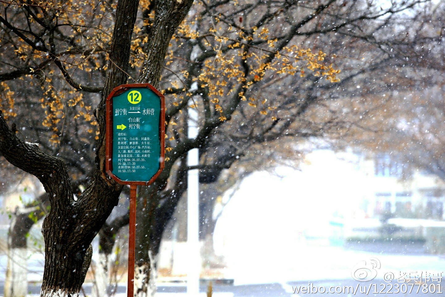 旅顺口哪个地方适合居住,住下来才知道旅顺口有多好