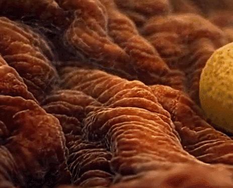 不容易怀孕的几个技巧,参考以下建议帮助提高受孕几率