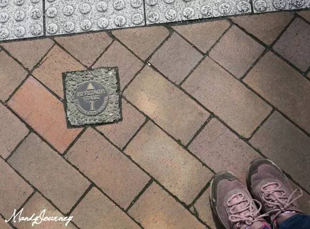 新西兰丨Dunedin但尼丁：骄傲的花园城市