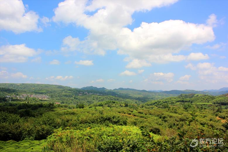 宁波最美风车公路,宁波最美公路