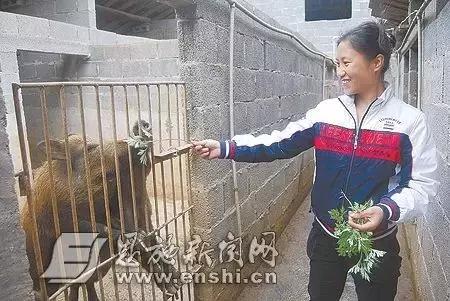 “美女与野兽”，养猪成就3000万的致富传奇！