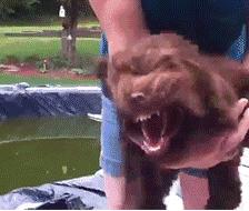 按住喵星人的这个位置，它就不会动了！你知道吗？！