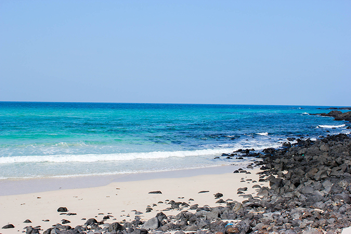 韩国济州岛取景,韩国济州岛很美