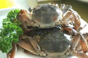 醉蟹怎么做更有味道,很大的螃蟹做醉蟹