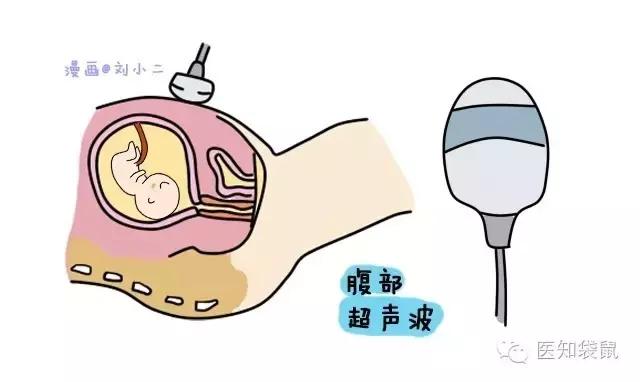 普通b超和肾b超检查范围一样吗,B超三维彩超区别